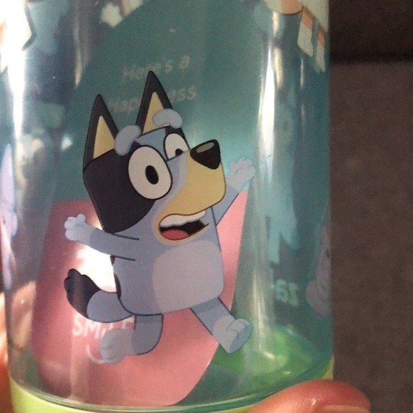 Moose Bluey Bingo 16 Oz Plastic Water Bottle Zak Designs - Picture 12 of 17